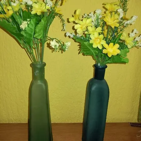 At Gagijevo Sedlo